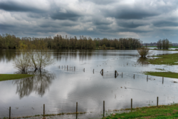 Comment pensent les assureurs ?