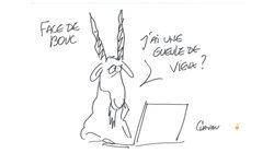 Vendredi 5 juillet 2019 - Dessins d'Emmanuel CHAUNU