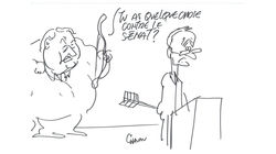 Vendredi 5 juillet 2019 - Dessins d'Emmanuel CHAUNU