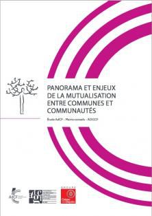 Panorama et enjeux de la mutualisation entre communes et communautés