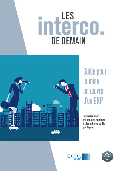 Guide pour la mise en oeuvre d'un ERP