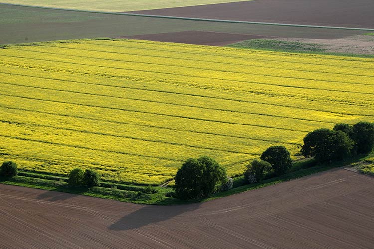 La stratégie de Brest Métropole pour préserver le foncier agricole (29)