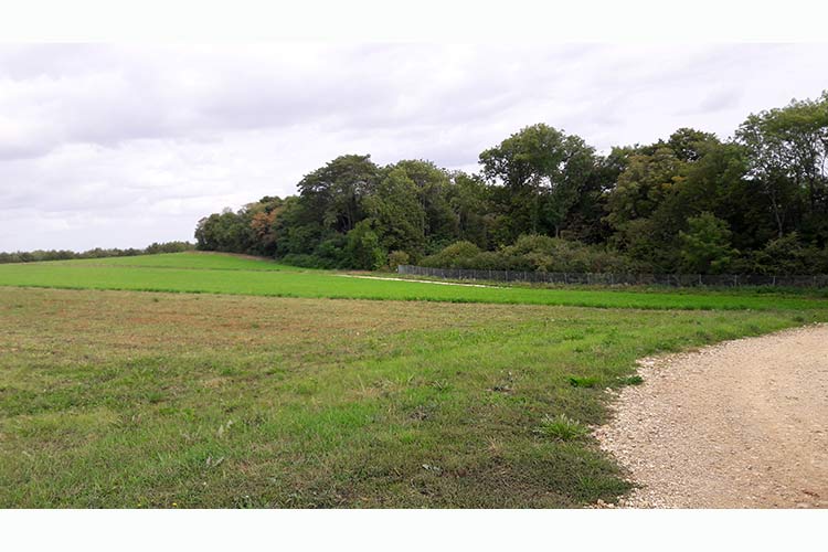 Pour protéger son eau potable le syndicat mixte des eaux de Seille et Moselle mise sur l'herbe (54)