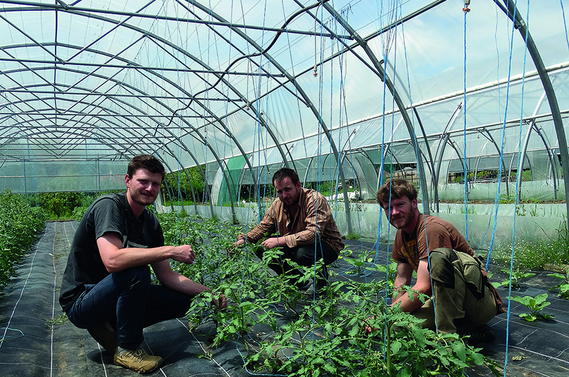 En Livradois-Forez, une ferme intercommunale pour s'alimenter en légumes bio (63)
