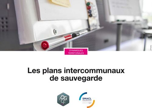 Les plans intercommunaux de sauvegarde