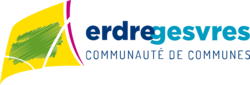 Directeur/trice Général/e des Services